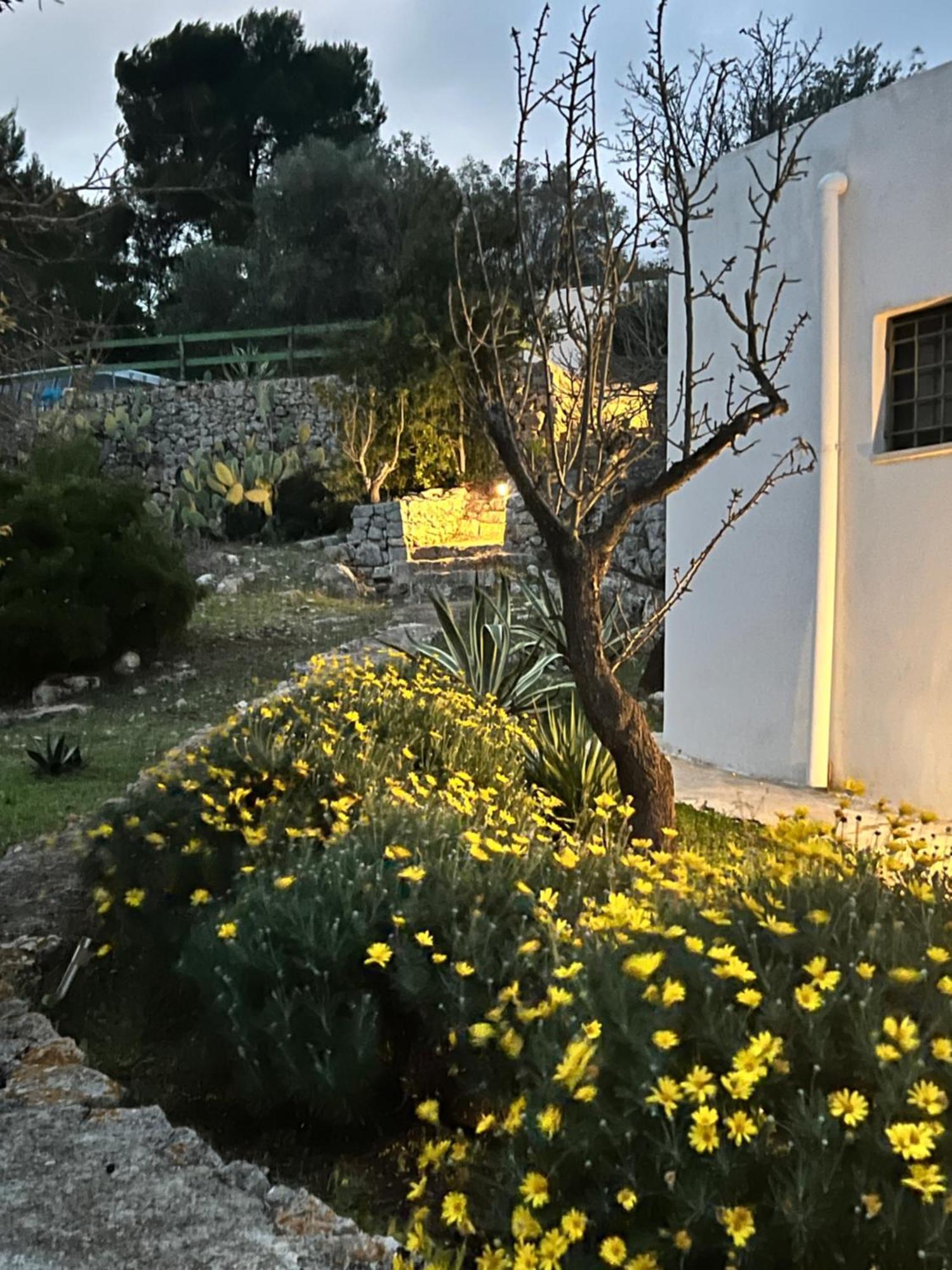 فندق Syconium Trullo And Lamia Gea Charme And History أوستوني المظهر الخارجي الصورة